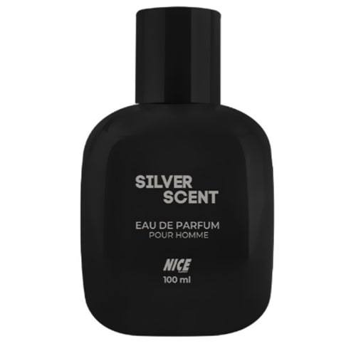 ادکلن مردانه نایس مکعبی مدل SILVER SCENT حجم 100 میل