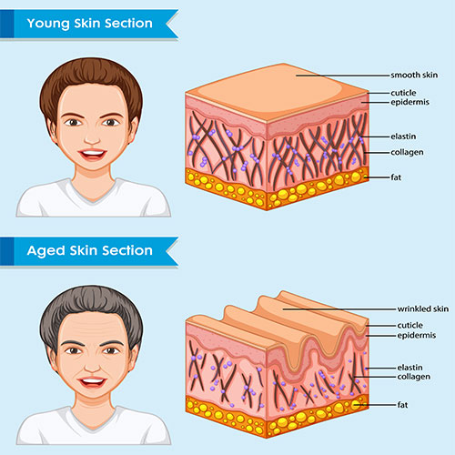  محصولات ضد پیری 