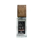 ادوپرفیوم مردانه نیچر پرفیوم آرا رایحه Carolina Herrera Bad Boy حجم 30 میل
