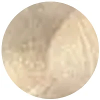 رنگ موی 00-90 رنگ یخی