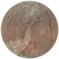 رنگ موی A10 رنگ بلوند خاکستری پلاتینه