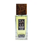 ادوپرفیوم مردانه نیچر پرفیوم آرا رایحه Silver Scent حجم 100 میل