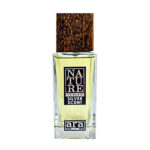 ادوپرفیوم مردانه نیچر پرفیوم آرا رایحه Silver Scent حجم 100 میل