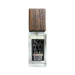 ادوپرفیوم مردانه نیچر پرفیوم آرا رایحه silver scent حجم 30 میل