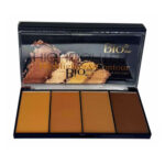 پالت کانسیلر و کانتور خشک بیو استار شماره 733